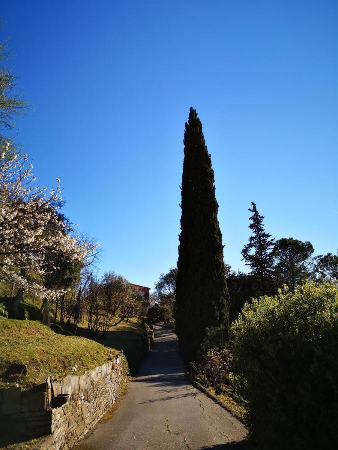 La Vivagna - Casa Vista Mare Tra Gli Ulivi Leivi Exterior foto